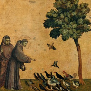 Saint FranÃƒÂ§ois